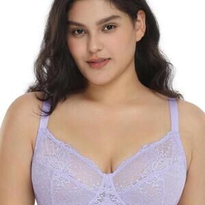 HSIA Bra - 38DD Purple Lace Sheer Back Closure Underwire - NEW